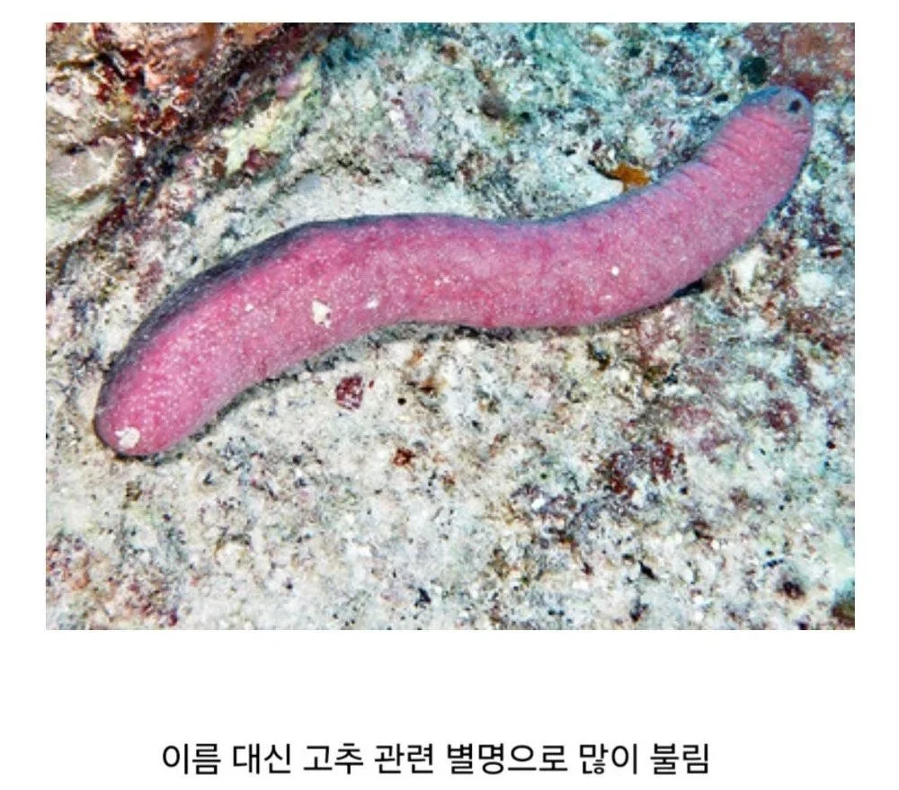 중고딩 때 꽈추 큰 애들 특징