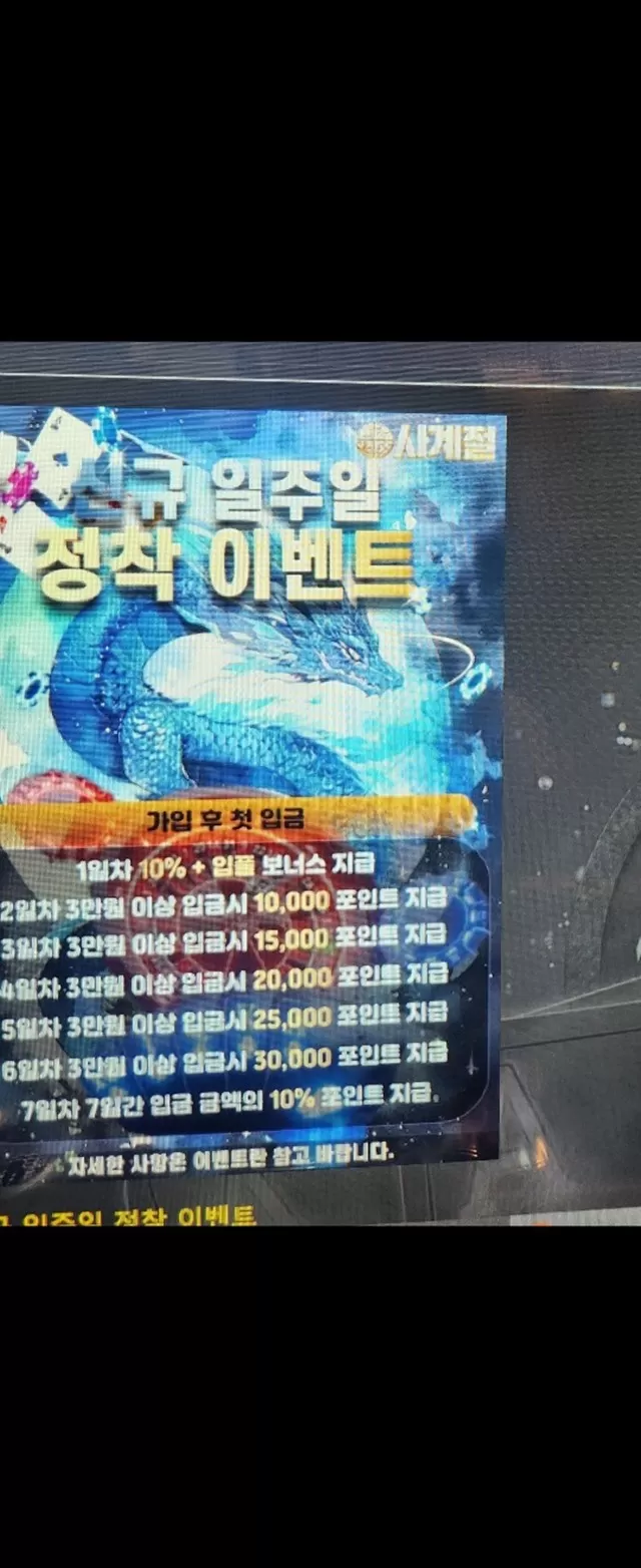 사계절 먹튀사이트 확정