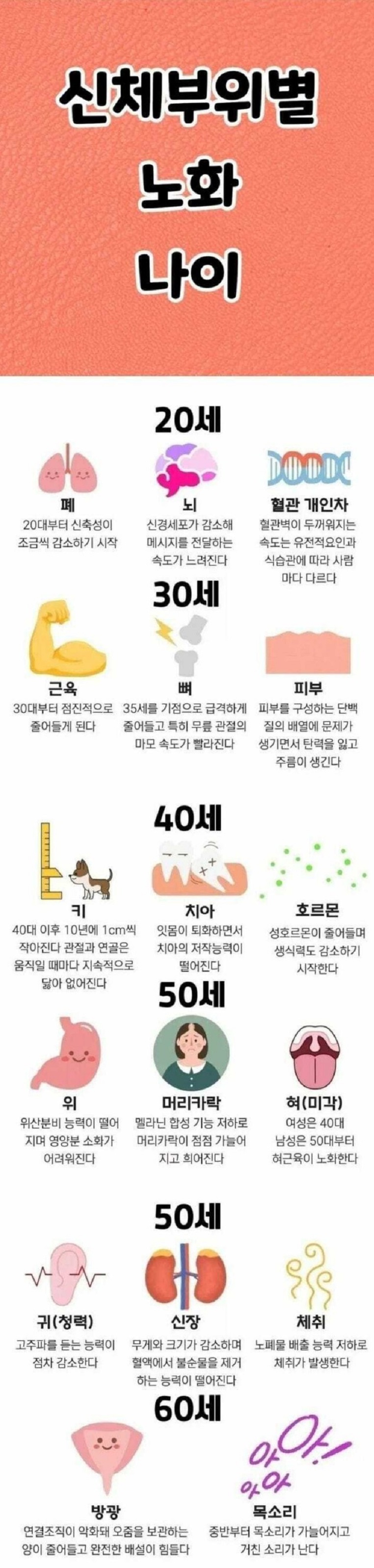 사람의 신체 부위별 노화 나이는 언제부터? .
