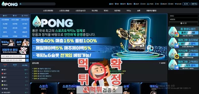 PONG 먹튀사이트 확정
