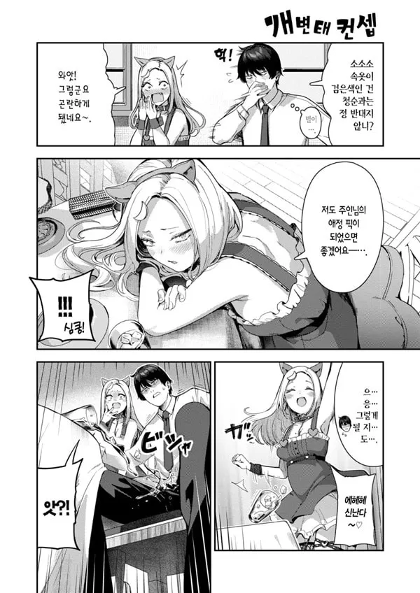 개x태 컨셉