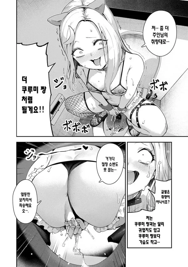 개x태 컨셉