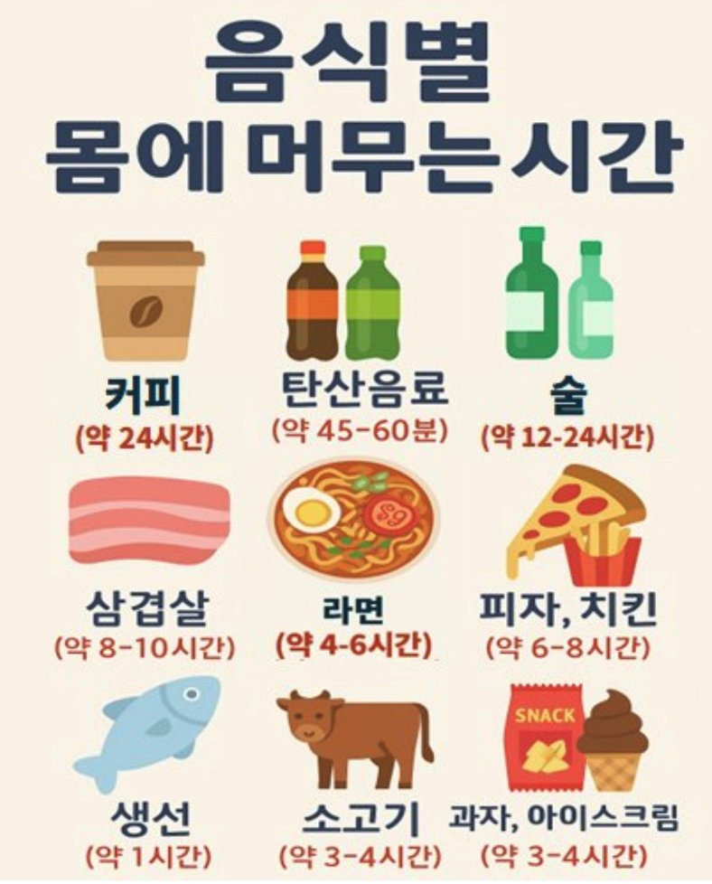 우리 몸속에 음식이 머무는 시간은 어느 정도?