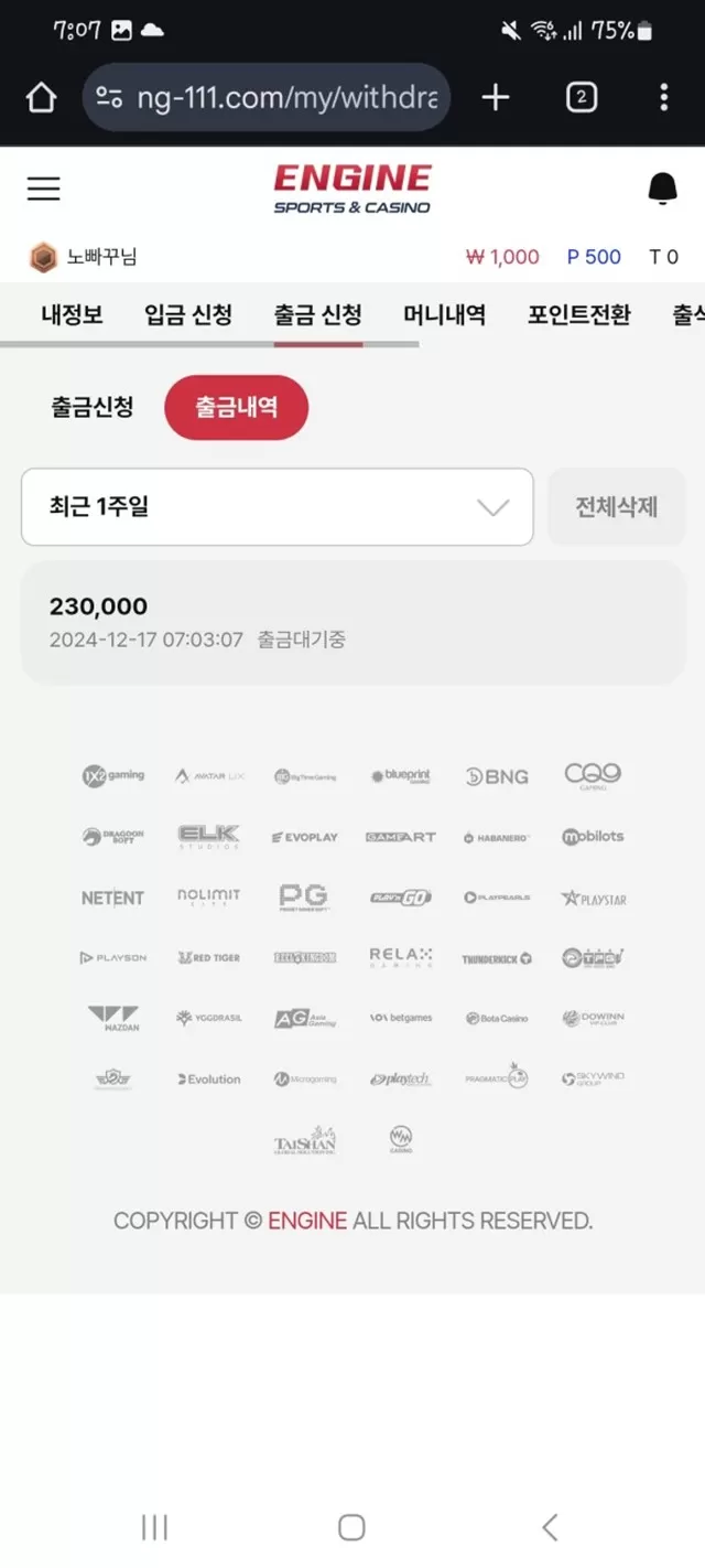 엔진 먹튀사이트 확정
