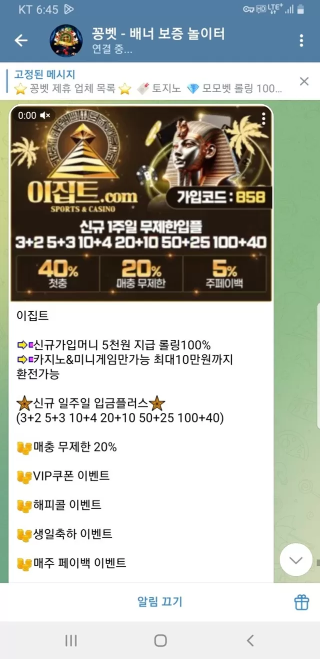 이집트 먹튀사이트 확정