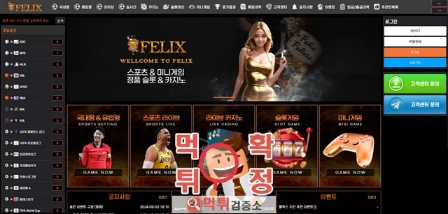 펠릭스 먹튀사이트 확정