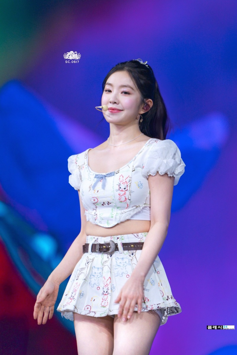 레드벨벳 아이린 스커트 허벅지 Y존