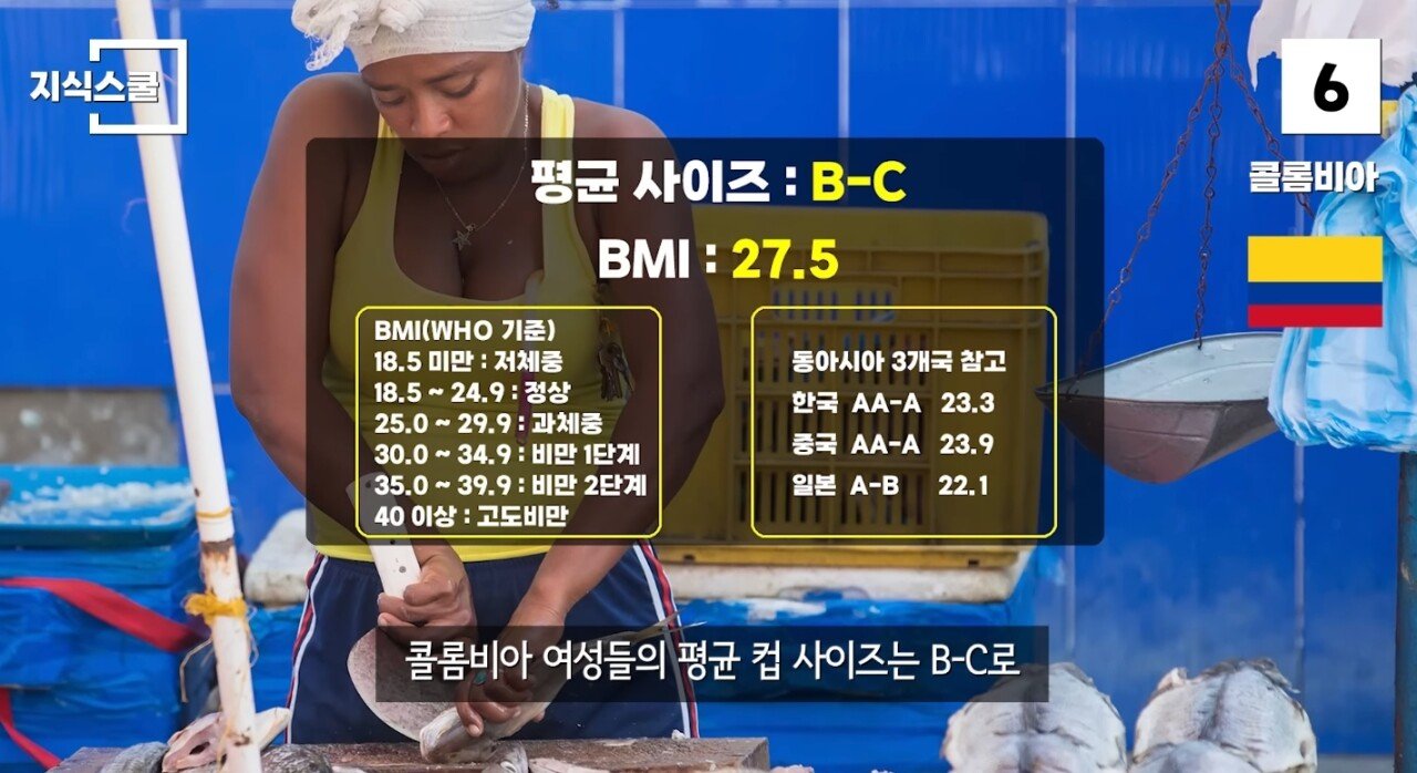 SmartSelect_20250423_073519_YouTube.jpg 여성들의 평균 컵 사이즈가 큰 국가 TOP10
