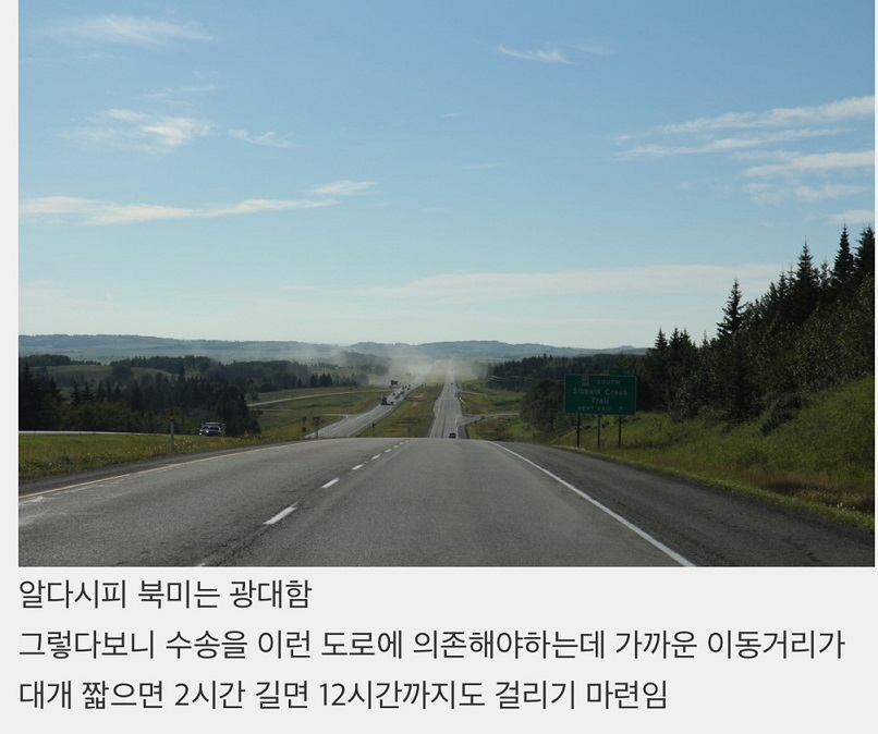 미국과 캐나다에서 콘크리트 대신 목조 주택을 짓고 사는 이유
