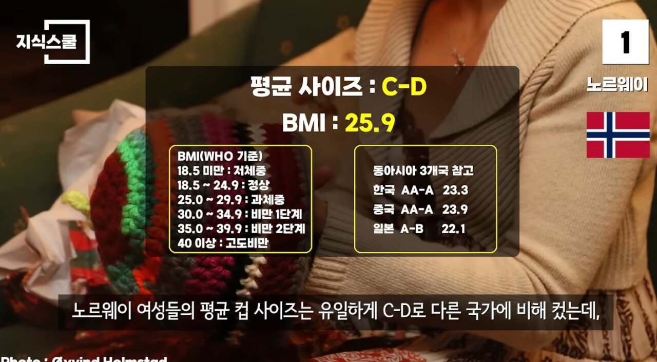 SmartSelect_20250423_073725_YouTube.jpg 여성들의 평균 컵 사이즈가 큰 국가 TOP10