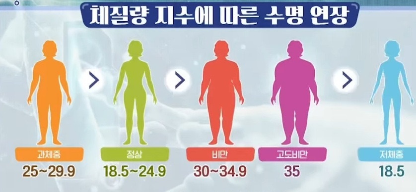 무리하게 다이어트 하면 좋지 못한 이유