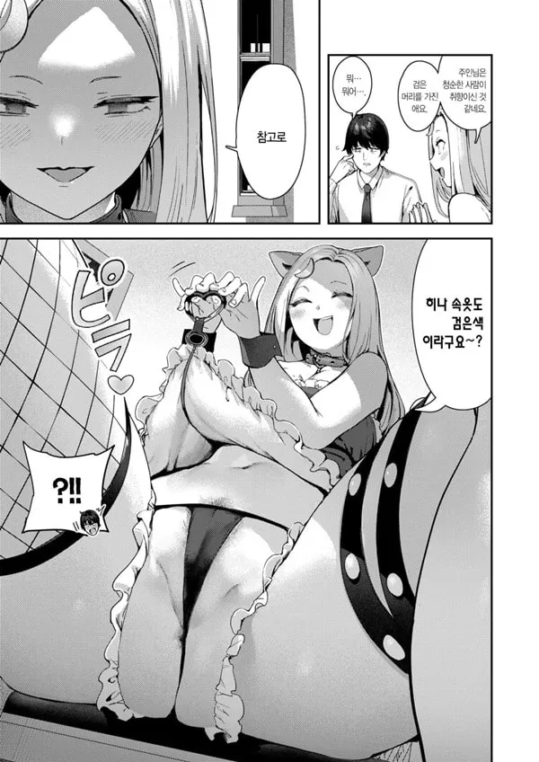 개x태 컨셉